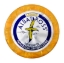 Picture of Albatross Lemon, ALB01B