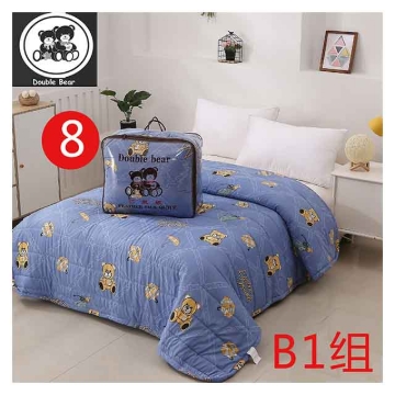 Picture of Feather Silk Quilt