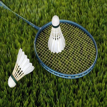 Show products in category Badminton Picture for category Badminton