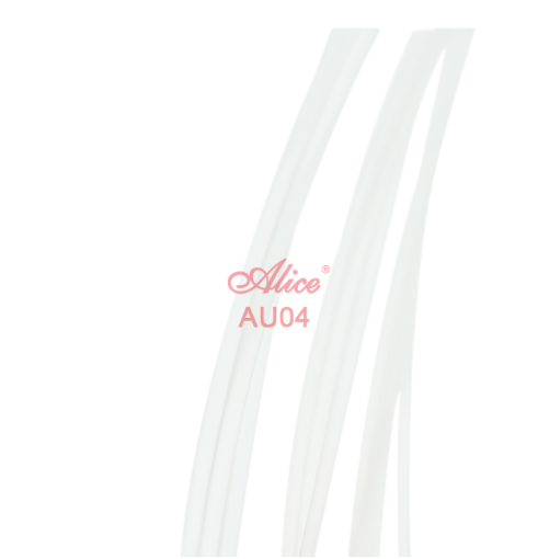 AU04 
