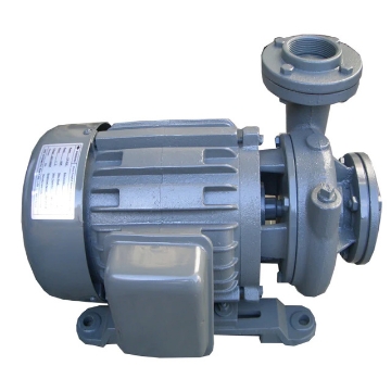 Show details for EVERGUSH CLOSE-COUPLED VORTEX CENTRIFUGAL PUMP CP-21.5 Picture of EVERGUSH CLOSE-COUPLED VORTEX CENTRIFUGAL PUMP CP-21.5