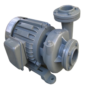 Show details for EVERGUSH CLOSE-COUPLED VORTEX CENTRIFUGAL PUMP CP-21.5 Picture of EVERGUSH CLOSE-COUPLED VORTEX CENTRIFUGAL PUMP CP-21.5