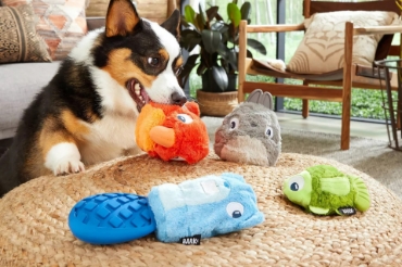 Picture for category Pet Toys & Accessories