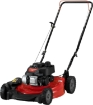 Yohino Engine Powered Lawn Mower (Powered by Briggs & Stratton)