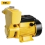 Picture of Deli Peripheral Pump EDL-QB80-E1