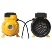 Picture of Deli Peripheral Pump EDL-WZB370-E1