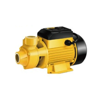 Show details for Deli Peripheral Pump EDL-WZB750-E1 Picture of Deli Peripheral Pump EDL-WZB750-E1