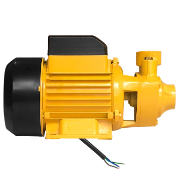 Show details for Deli Peripheral Pump EDL-WZB750-E1 Picture of Deli Peripheral Pump EDL-WZB750-E1