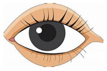 Show products in category Eye Health Picture for category Eye Health