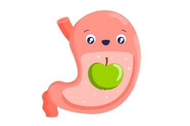 Show products in category Digestive Healthy Picture for category Digestive Healthy