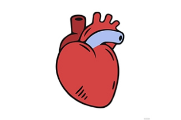 Show products in category Heart Health Picture for category Heart Health