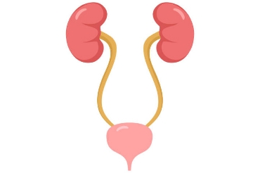 Show products in category Urinary Track Health Picture for category Urinary Track Health