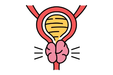 Show products in category Prostate Health Picture for category Prostate Health