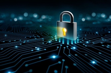 Picture for category Security